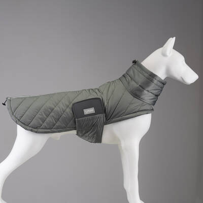 Air Puff Special Green Köpek Montu - 2