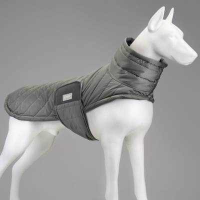Air Puff Special Green Köpek Montu - 1