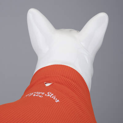 Always Stay Free Flex Body - 3