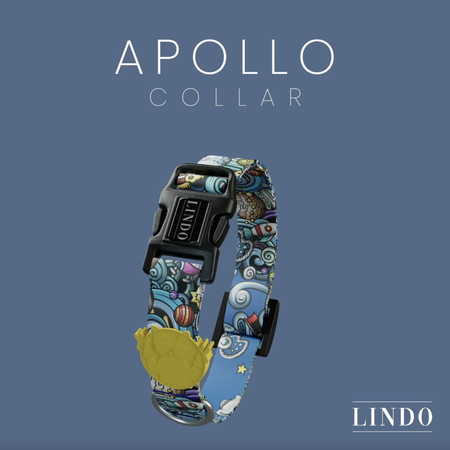 Apollo Boyun Tasması - 4