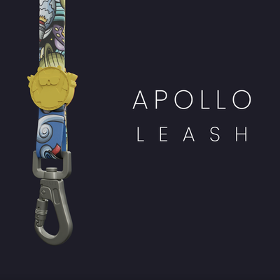 Apollo Gezdirme Tasması - 4