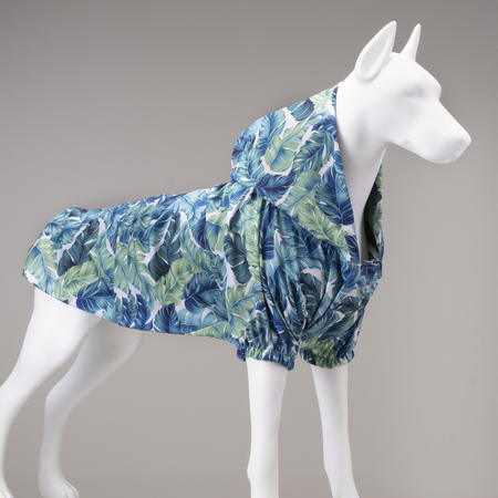 Lindodogs - Aqua Hooded Raincoat