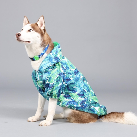 Lindodogs - Aqua Hooded Raincoat (1)