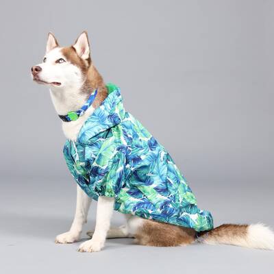 Aqua İçi Fileli Su Geçirmez Köpek Yağmurluğu - 2