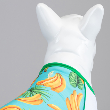 Banana Küçük, Orta ve Büyük Irk Köpek Tshirt - 3