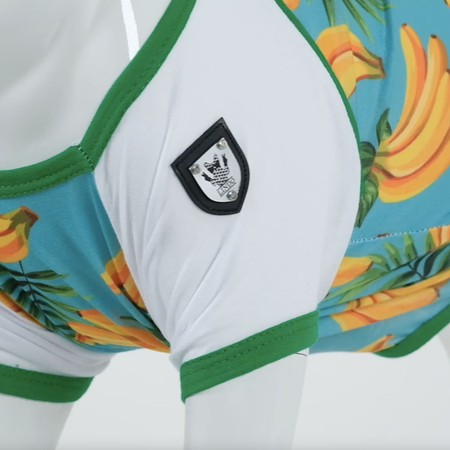 Banana Küçük, Orta ve Büyük Irk Köpek Tshirt - 4