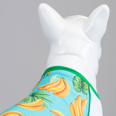 Banana Tshirt - 3