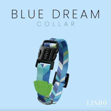 Blue Dream Collar - 4