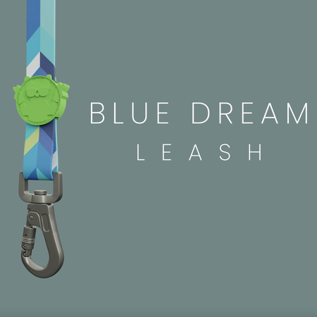Blue Dream Gezdirme Tasması - 4