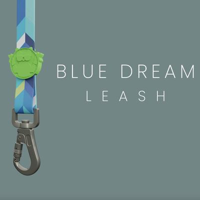 Blue Dream Gezdirme Tasması - 4