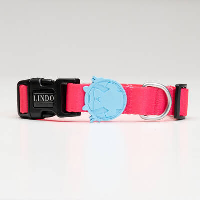 Bubble Collar - 3