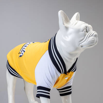 California College Sweatshirt - 1