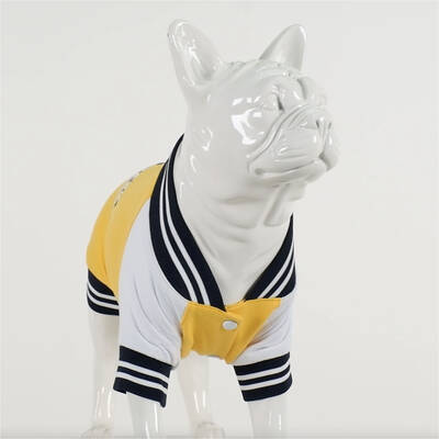 California College Sweatshirt - 4