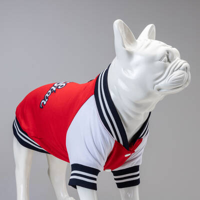 College Allstar Küçük Orta ve Büyük Irk Köpek Sweatshirt - 1