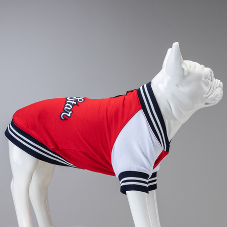 College Allstar Küçük Orta ve Büyük Irk Köpek Sweatshirt - 3