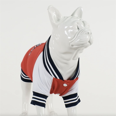 College Allstar Küçük Orta ve Büyük Irk Köpek Sweatshirt - 4