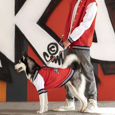 College Allstar Küçük Orta ve Büyük Irk Köpek Sweatshirt - 2