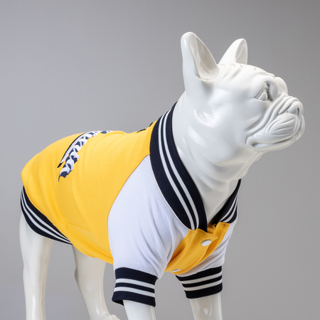 Lindodogs - College California Küçük Orta ve Büyük Irk Köpek Sweatshirt