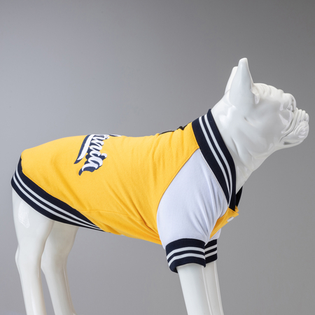 College California Küçük Orta ve Büyük Irk Köpek Sweatshirt - 3