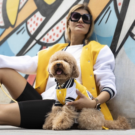 Lindodogs - College California Küçük Orta ve Büyük Irk Köpek Sweatshirt (1)