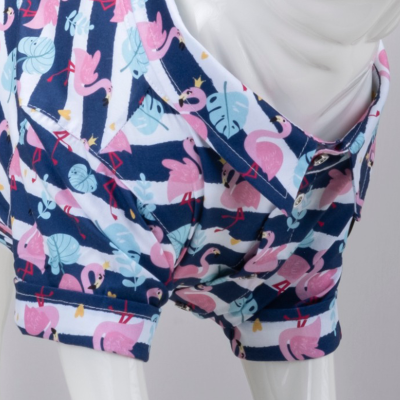 Flamingo Küçük ve Orta Irk Köpek Gömleği - 3