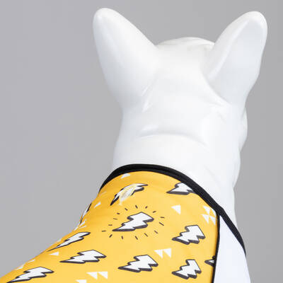 Flash Küçük, Orta ve Büyük Irk Köpek Tshirt - 3