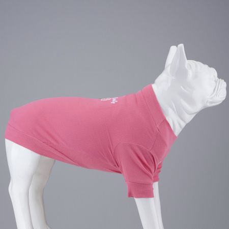 Flex Cotton Candy Küçük ve Orta Irk Köpek Tshirt - 4
