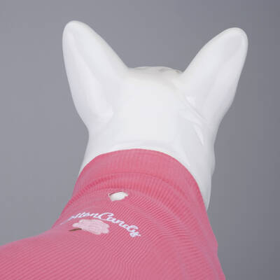 Flex Cotton Candy Küçük ve Orta Irk Köpek Tshirt - 3