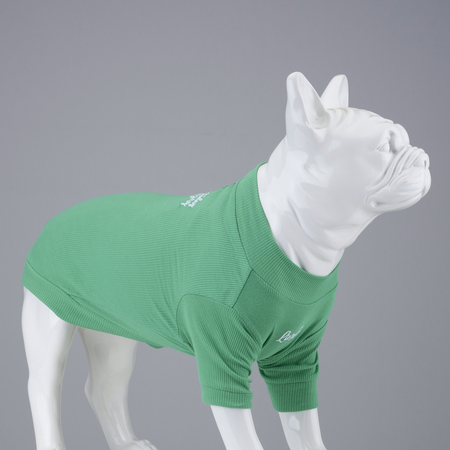 Lindodogs - Flex Make Today Amazing Küçük ve Orta Irk Köpek Tshirt
