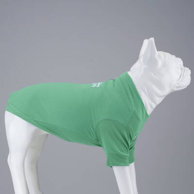 Flex Make Today Amazing Küçük ve Orta Irk Köpek Tshirt - 4