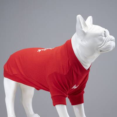 Flex Merry Christmas Küçük, Orta ve Büyük Irk Köpek Tshirt - 1