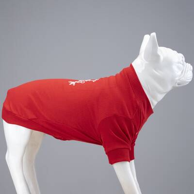 Flex Merry Christmas Küçük, Orta ve Büyük Irk Köpek Tshirt - 2