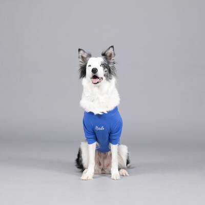 Flex On The Clouds Küçük ve Orta Irk Köpek Tshirt - 2