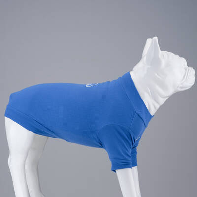 Flex On The Clouds Küçük ve Orta Irk Köpek Tshirt - 4