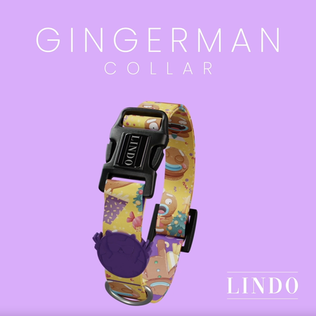 Gingerman Boyun Tasması - 4
