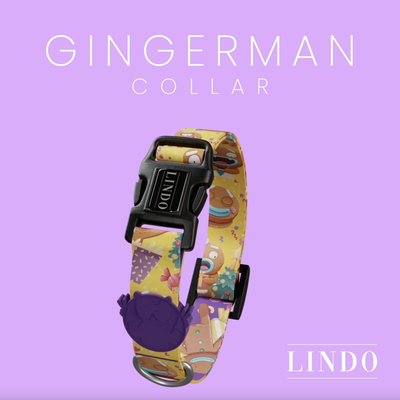 Gingerman Boyun Tasması - 4