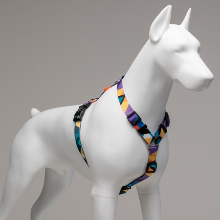 Ibiza H-Harness - 3