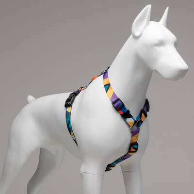 Ibiza H-Harness - 3