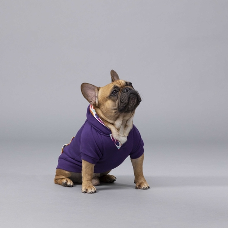 Indian Küçük, Orta ve Büyük Irk Köpek Sweatshirt (1)