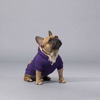 Indian Küçük, Orta ve Büyük Irk Köpek Sweatshirt - 2