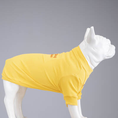 Little Bit of Sunshine Flex Body - 1