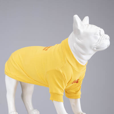 Little Bit of Sunshine Flex Body - 3