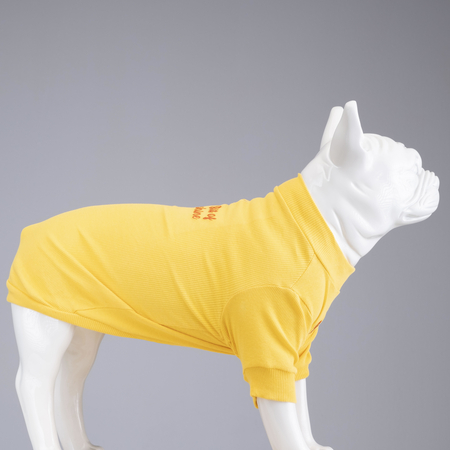 Lindodogs - Flex Little Bit of Sunshine Küçük ve Orta Irk Köpek Tshirt