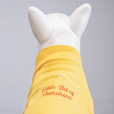 Flex Little Bit of Sunshine Küçük ve Orta Irk Köpek Tshirt - 4