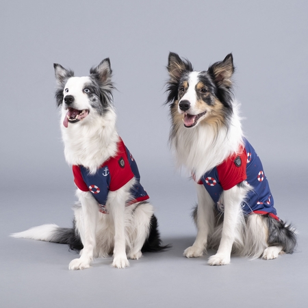 Lindodogs - Little Sailer Küçük, Orta ve Büyük Irk Köpek Tshirt (1)