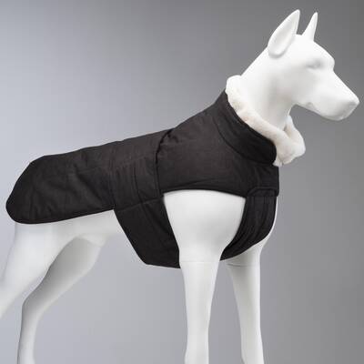 Luxury Plus Black Dog Coat - 1