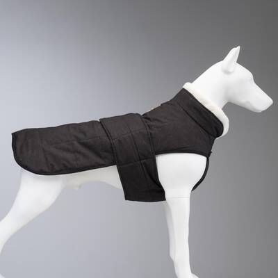 Luxury Plus Black Dog Coat - 3
