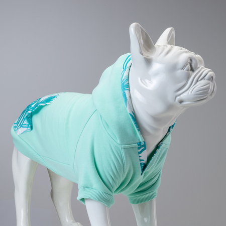 Mint Green Küçük, Orta ve Büyük Irk Köpek Sweatshirt