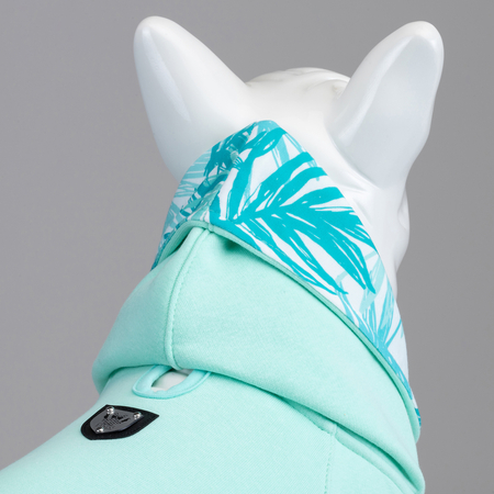 Mint Green Küçük, Orta ve Büyük Irk Köpek Sweatshirt - 3