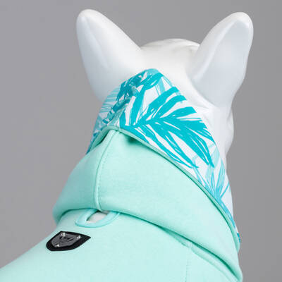 Mint Green Küçük, Orta ve Büyük Irk Köpek Sweatshirt - 3
